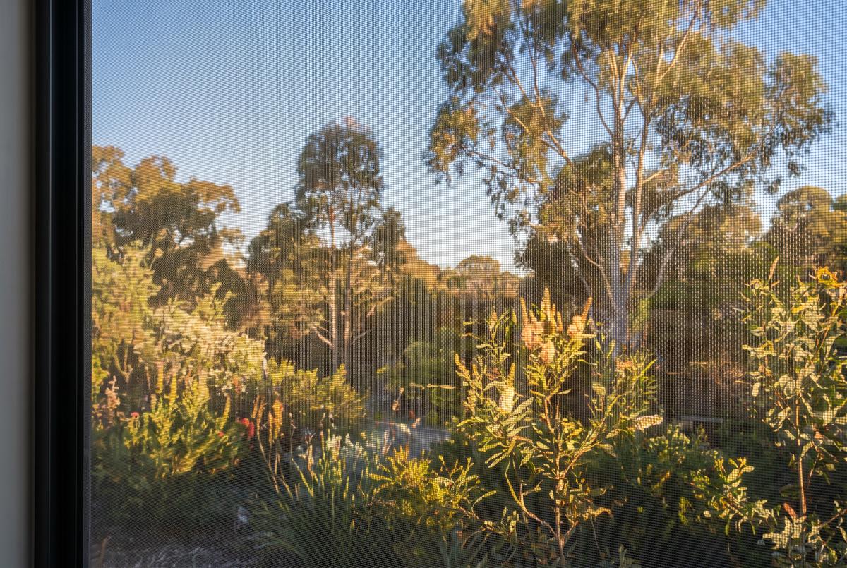 Looking out through fine security mesh at a sunlit Australian garden